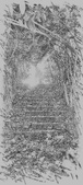 Enlarge photo 43