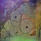 Enlarge photo 41