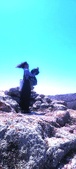 Enlarge photo 40