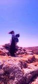 Enlarge photo 39