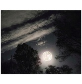 Enlarge photo 57