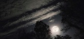 Enlarge photo 53