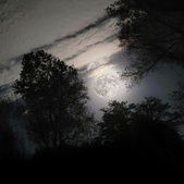 Enlarge photo 59