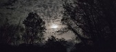 Enlarge photo 35