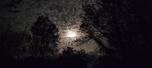 Enlarge photo 34