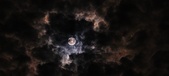 Enlarge photo 36