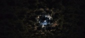 Enlarge photo 40