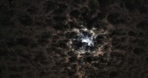 Enlarge photo 42