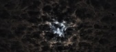 Enlarge photo 43
