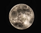 Enlarge photo 47