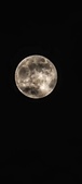 Enlarge photo 46
