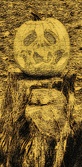 Enlarge photo 98
