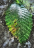Enlarge photo 66