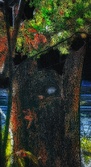 Enlarge photo 69