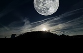 Enlarge photo 118