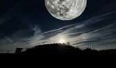 Enlarge photo 120