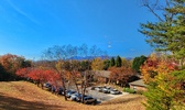 Enlarge photo 103