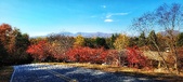 Enlarge photo 104