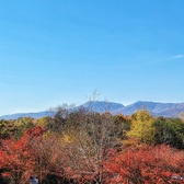 Enlarge photo 105
