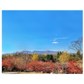 Enlarge photo 107