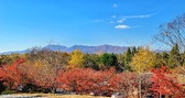 Enlarge photo 106