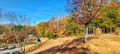 Enlarge photo 108