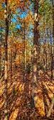 Enlarge photo 110