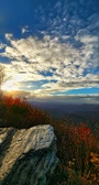 Enlarge photo 142