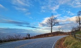 Enlarge photo 144