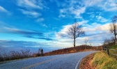 Enlarge photo 145