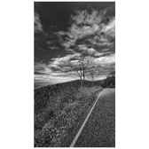 Enlarge photo 148