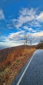 Enlarge photo 146