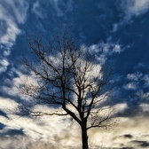 Enlarge photo 149