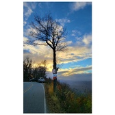 Enlarge photo 150