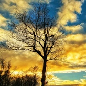 Enlarge photo 152