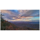 Enlarge photo 154