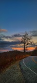Enlarge photo 156