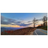 Enlarge photo 158