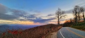 Enlarge photo 157
