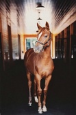 Enlarge photo 169