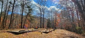 Enlarge photo 182