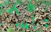 Enlarge photo 183