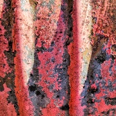 Enlarge photo 197