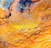 Enlarge photo 193