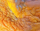 Enlarge photo 196