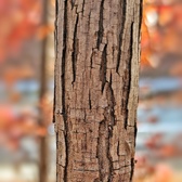 Enlarge photo 202