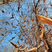 Enlarge photo 203