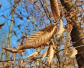 Enlarge photo 208