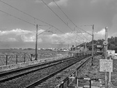 Enlarge photo 91