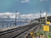 Enlarge photo 88